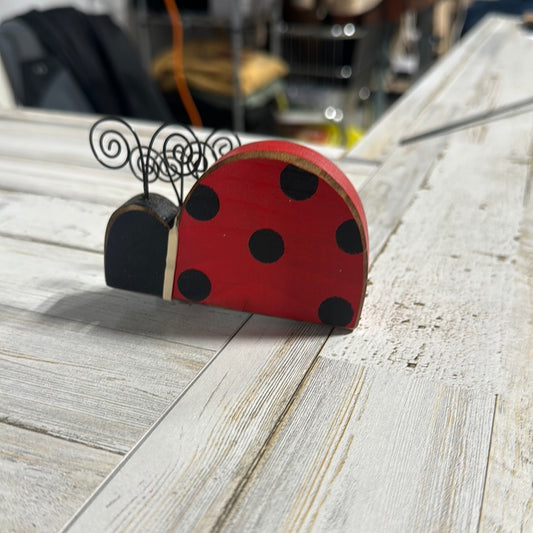 Ladybug Set of 3
